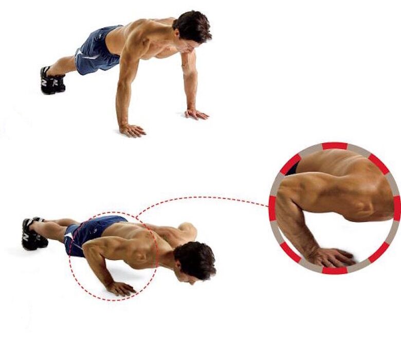 Push-ups from the floor stimulate strong arm and chest muscles
